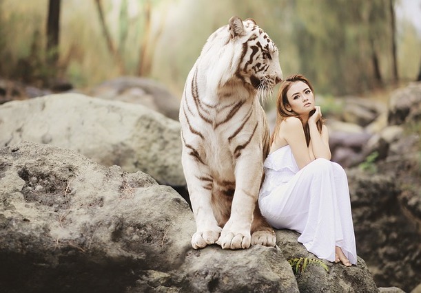 Femme en robe blanche assise à côté d'un tigre blanc