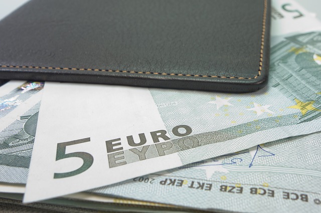 billets de 5 Euros
